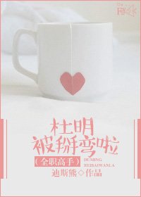 《(全職高手同人)(全職高手)杜明被掰彎啦》