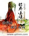 《將府小妹》