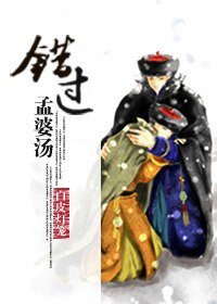 《(數字同人)錯過孟婆湯(胤禟穿奕忻)》
