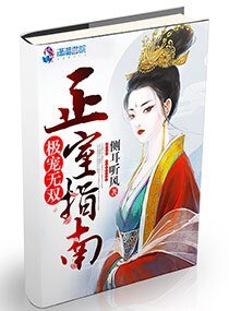 《極縱無雙之正室指南》