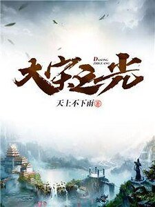 大宋之光