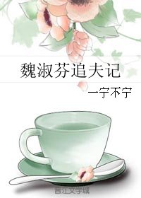 《魏淑芬追夫記》