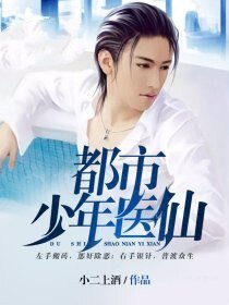 《都市少年醫仙》
