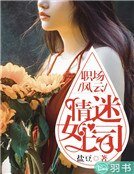 《職場風雲:情迷女上司》