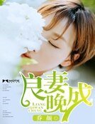 《良妻晚成》