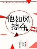 《他如風掠奪》