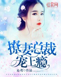 《撩妻總裁寵上癮》