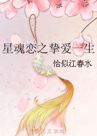 《星魂戀之摯愛一生》