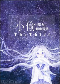 《(獵人同人)小偷》