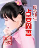 《佔妾囚妻》