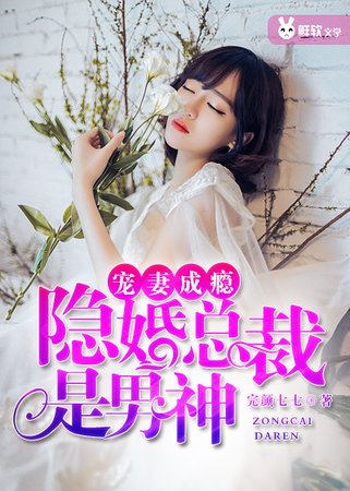 《寵妻成癮:隱婚總裁是男神》