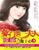 《暖婚:豪門第一夫人》