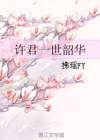 《許君一世韶華》