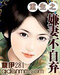 《重生之嫌妻不自棄》
