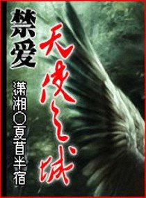 《禁愛天使之城文》