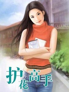 《護花高手》
