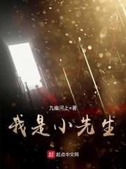 《我是小先生》