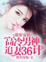 《甜蜜寵婚:高冷男神追妻36計》