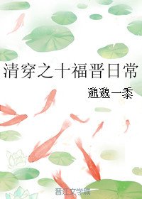 《清穿之十福晉日常》