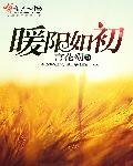 《暖陽如初》