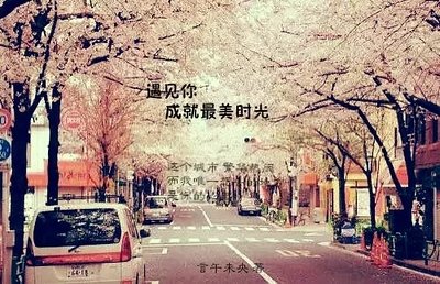 《遇見你成就最美時光》