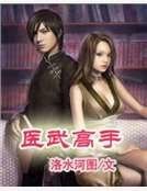 《醫武高手》
