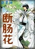 斷腸花