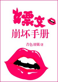 《嫖文崩壞手冊》