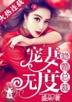 《隱婚總裁寵妻無度》