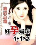 幕後總裁：好孕媽咪1+1