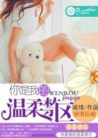 《你是我的溫柔禁區》