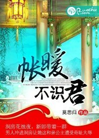 《帳暖不識君》