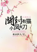 《開封有貓,小鳳有刀》