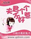 《夫君個個不好惹》