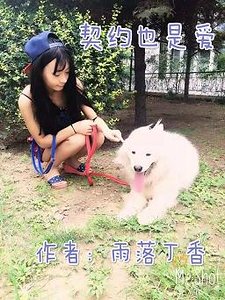 契約也是愛