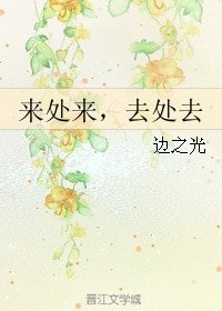 《來處來,去處去》