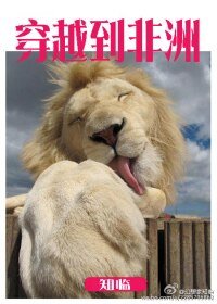 《穿越到非洲》