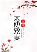 《太傅寵妻日常》