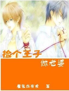 《撿個王子做老婆》