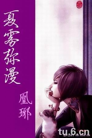 《(網王東邦同人)夏霧瀰漫》