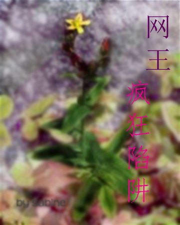 （網王同人）瘋狂陷阱