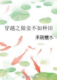 《穿越之做妾不如種田》