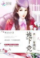 《穿越民國之我是地下黨》