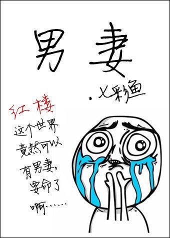 《(紅樓同人)男妻》