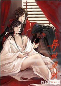 《異世靈武(兄弟)》