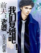 《前夫:老婆,我們復婚吧!》