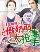 《寵婚撩人:傲嬌萌妻太搶手》