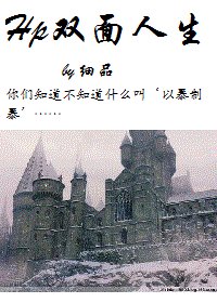 《(HP同人)Hp雙面人生》