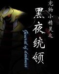 （寵物小精靈同人）黑夜統領
