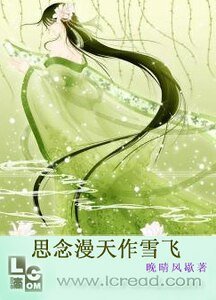《漫天雪飛》